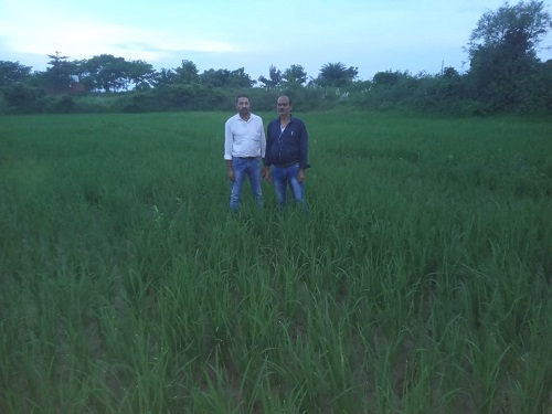 ATMA Koderma